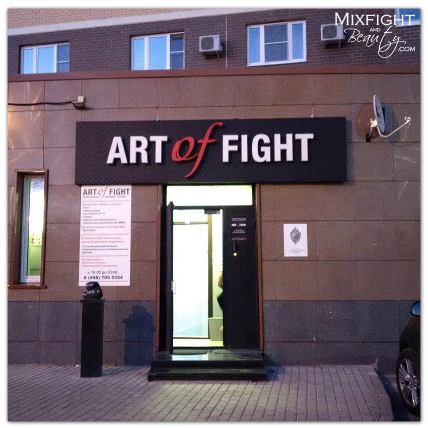art-of-fight-1